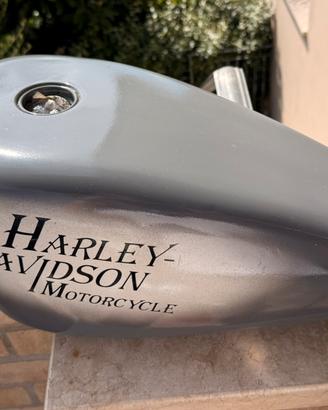 Serbatoio + parafanghi Harley Davidson Sportster