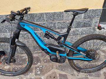 Bici assistita
