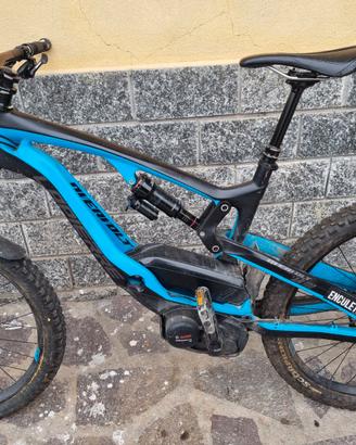 Bici assistita