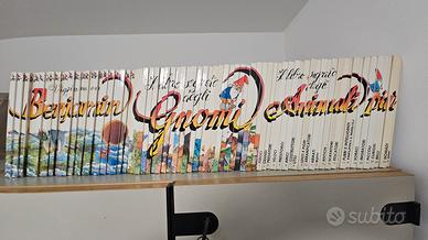 collana libri benjamin