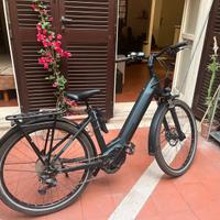 Bicicletta elettrica - Winora - Yucatan 10