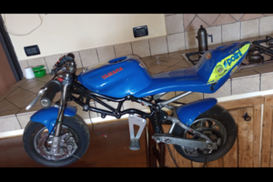 Minimoto dm