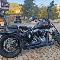 Harley Davidson Cross Bones 2009