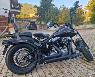 Harley Davidson Cross Bones 2009