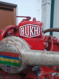 Entrobordo diesel Bukh