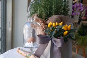 Negozio gastronomia pastificio