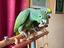 Immagine 2