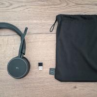 Dell Pro WL5022 Wireless Headset