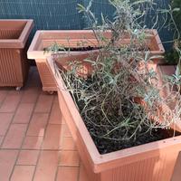 fioriera da giardino 