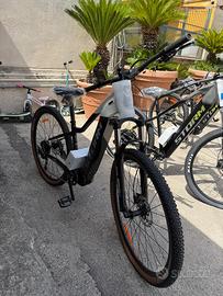 Bici elettriche