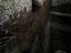 Immagine 24