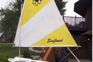 Barca di piccole dimensioni