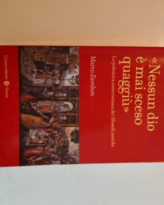 Nessun dio è mai sceso quaggiù di M. Zambon