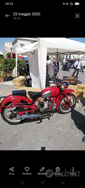 Bianchi/Guzzi