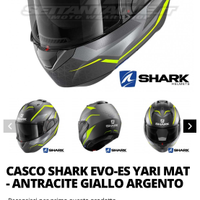 Casco shark
