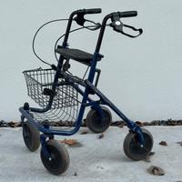 Carrellino deambulatore