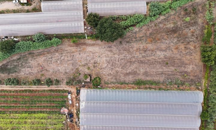 Terreno Agricolo - Terracina - Via San Silviano