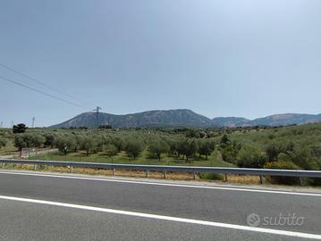 Terreno Agricolo con Uliveto