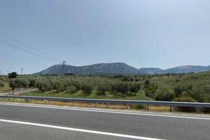 Terreno Agricolo con Uliveto