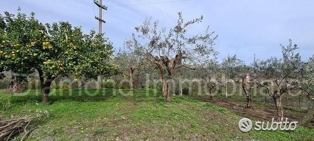 Terreno 1300 mq in parte edificabile Piedimonte - Vista 4