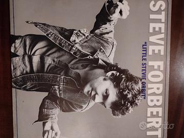 disco Steve Forbert