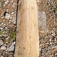 tegole in terracotta 