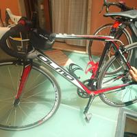 bici olmo in carbonio