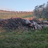 pali in castagno non trattati