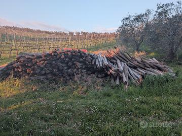 pali in castagno non trattati