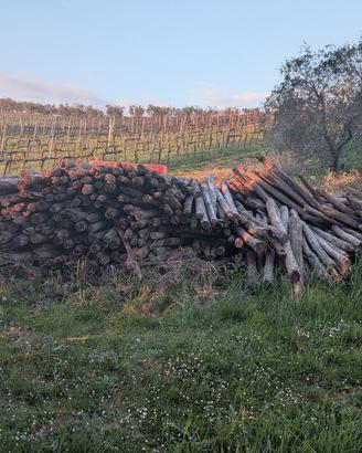 pali in castagno non trattati