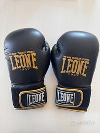 Guantoni da Boxe LEONE 