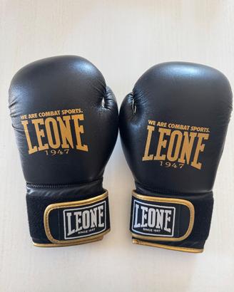 Guantoni da Boxe LEONE 