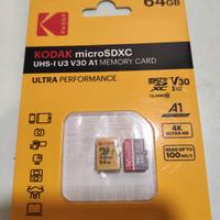 lotto micro sd