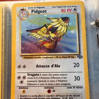 Pokemon - Pidgeot evoluzione