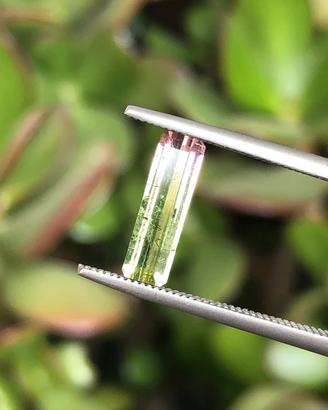 Tormalina Bicolore naturale da 0.93 ct