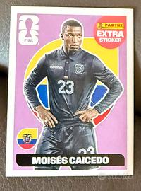 Figurina mondiali 2026 extrasticker Moises caicedo