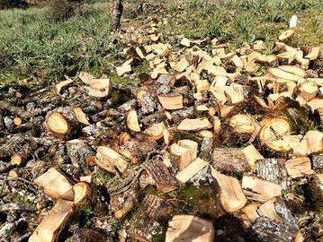 legna da ardere 