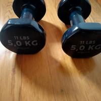 decathlon manubri palestra 