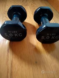 decathlon manubri palestra 