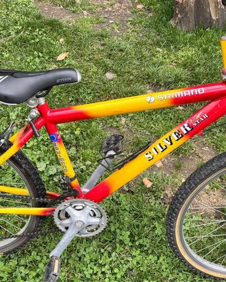 MTB 24 con tripla, 21 rapporti