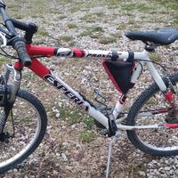 bicicletta espria