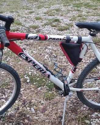 bicicletta espria