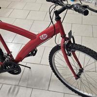 Bicicletta 