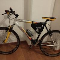 Bicicletta Mountain bike