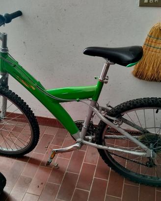 bicicletta 