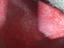 Immagine 8