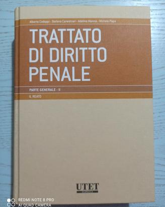 Trattato di diritto penale