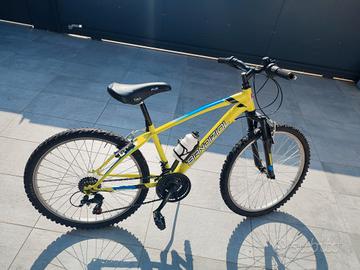 bicicletta per ragazzi 