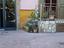 Immagine 6