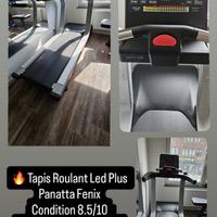 Stock 6 Macchinari Panatta Professionale - Cardio